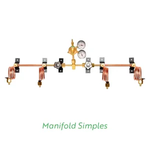 Manifold Simples